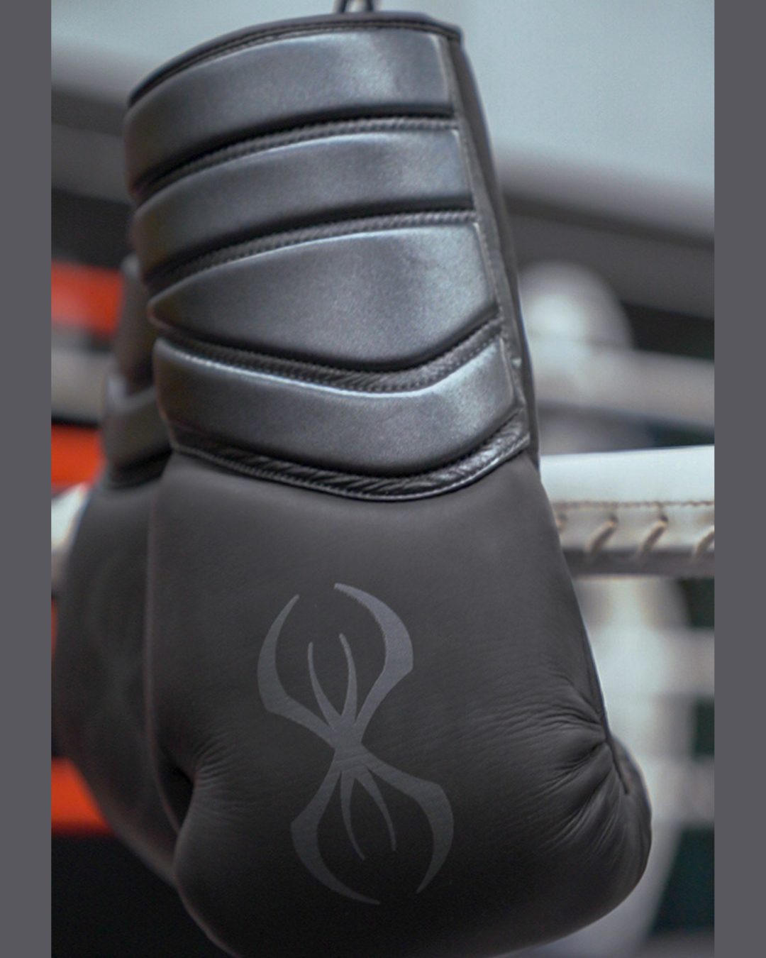 Viper X Apex Edition Boxing Glove