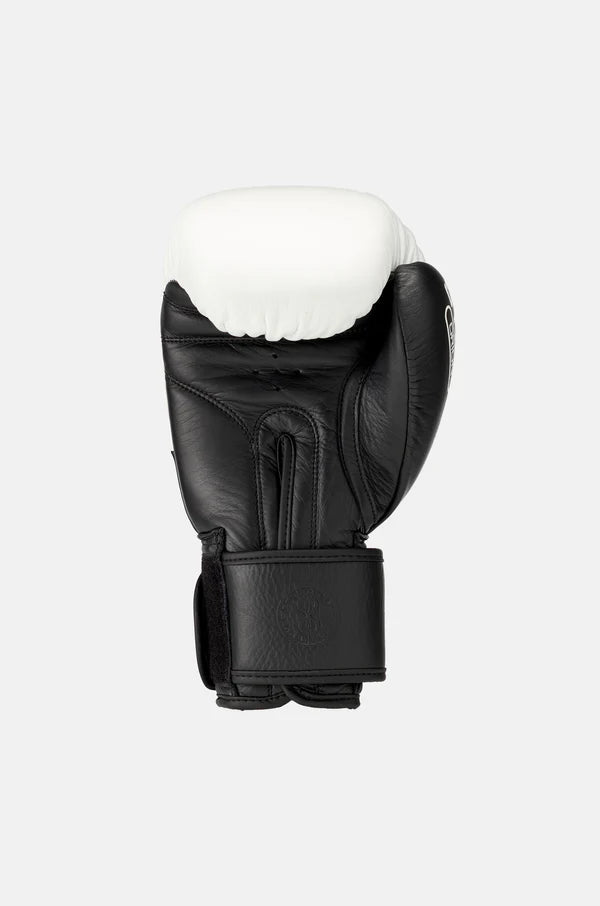 Orion Boxing Glove