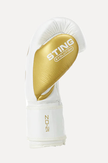 Evolution Pro Boxing Glove