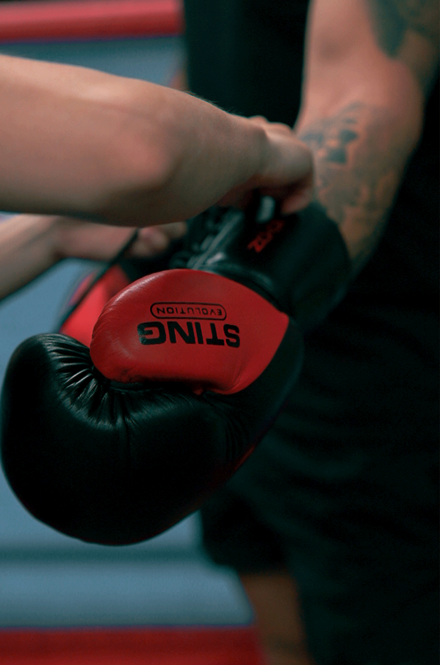 Evolution Pro Boxing Glove