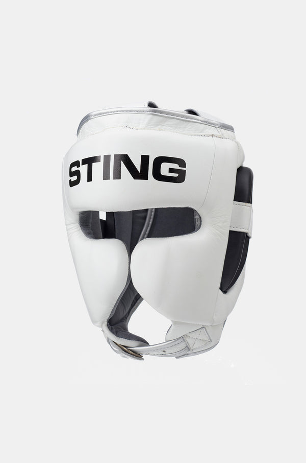 Boxing Headgear