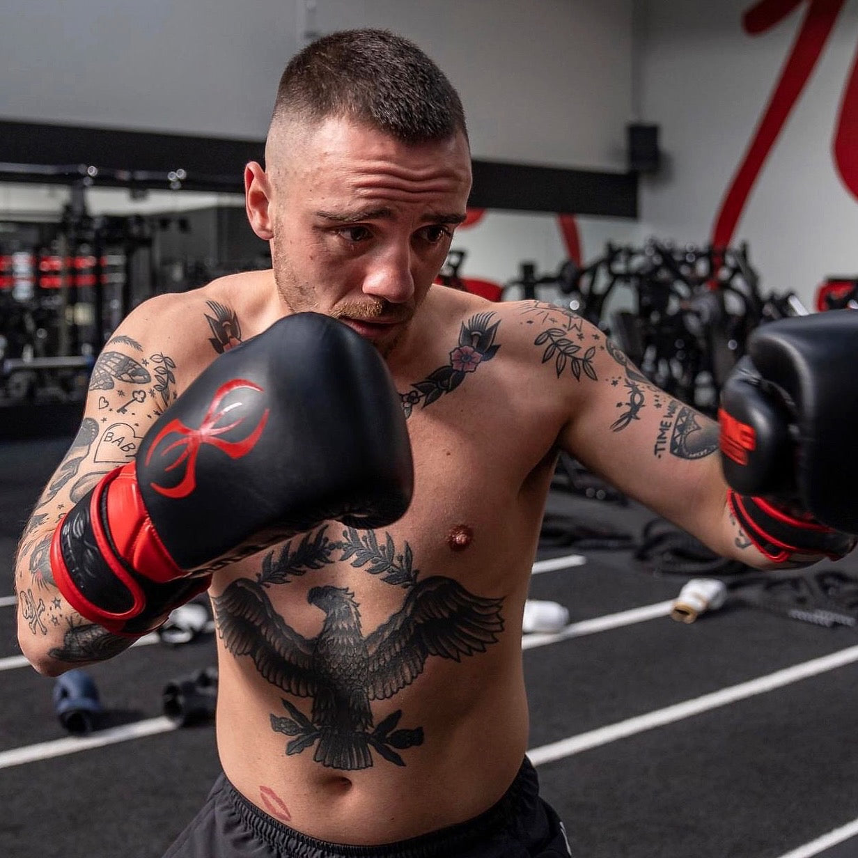 Why STING Makes the Best Boxing Gloves for Beginners, Amateurs, and Pros