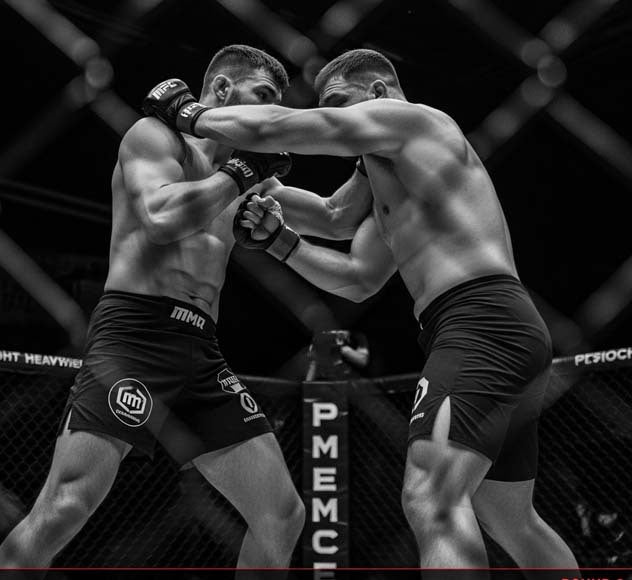 Comparison of UFC weight divisions from flyweight to heavyweight