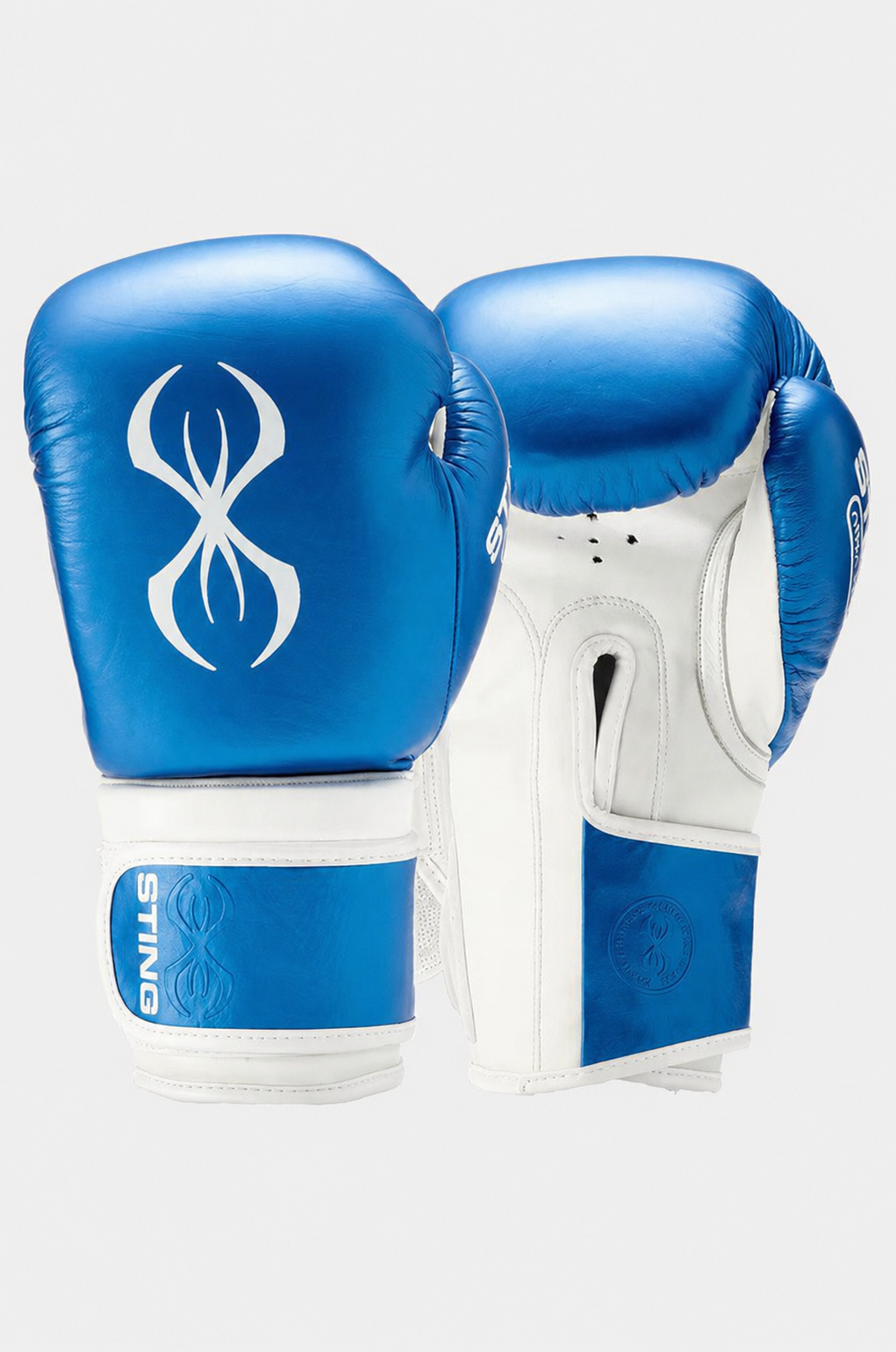 Armapro Boxing Gloves