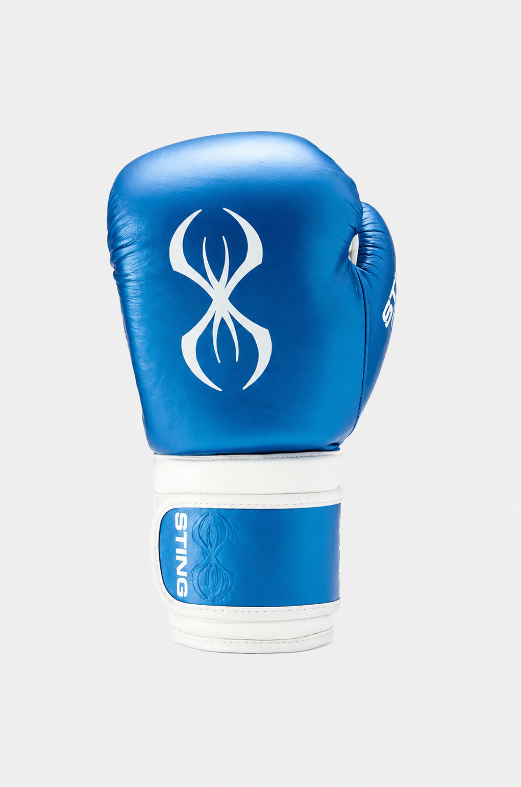 Armapro Boxing Gloves