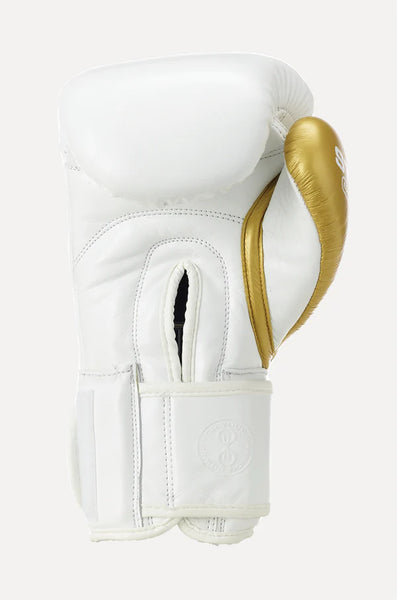 Evolution Pro Boxing Glove – Sting Sports Canada ᵀᴹ