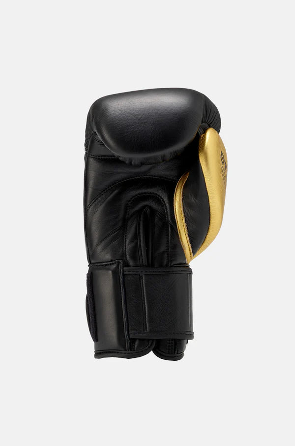 Evolution Pro Boxing Glove
