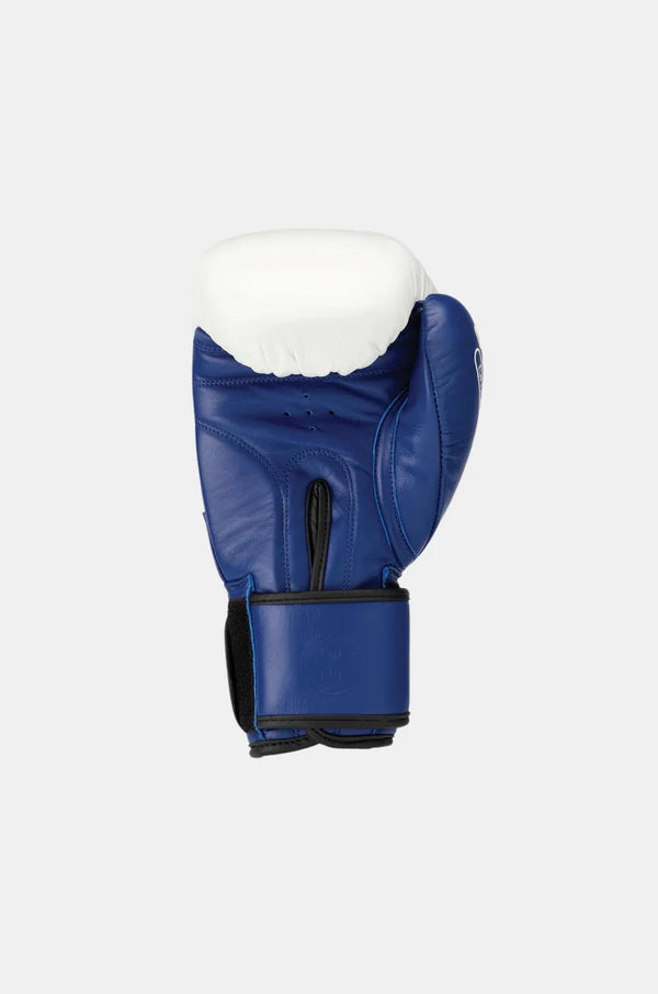 Orion Boxing Glove